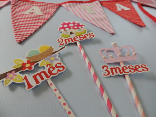Kit Mesversário modelo I