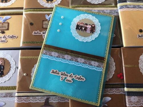 Pasta Catálogo Clear Book Harry Potter (plastificada)