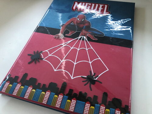 Pasta Catálogo Homem Aranha (plastificada)