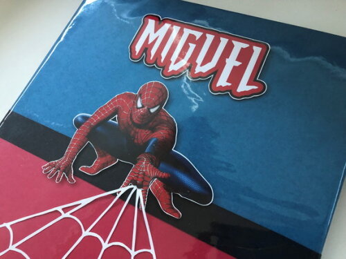 Pasta Catálogo Homem Aranha (plastificada)