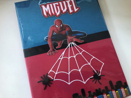 Pasta Catálogo Homem Aranha (plastificada)