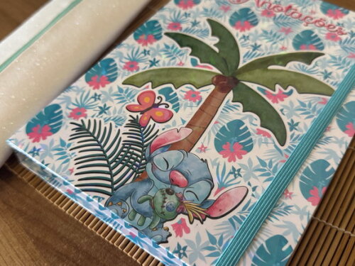 Kit Stitch com Pasta + Estojo