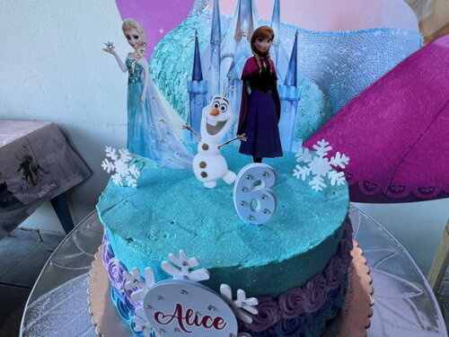 Topo de Bolo Frozen Luxo 8 Elementos