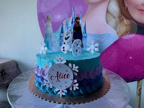 Topo de Bolo Frozen Luxo 8 Elementos