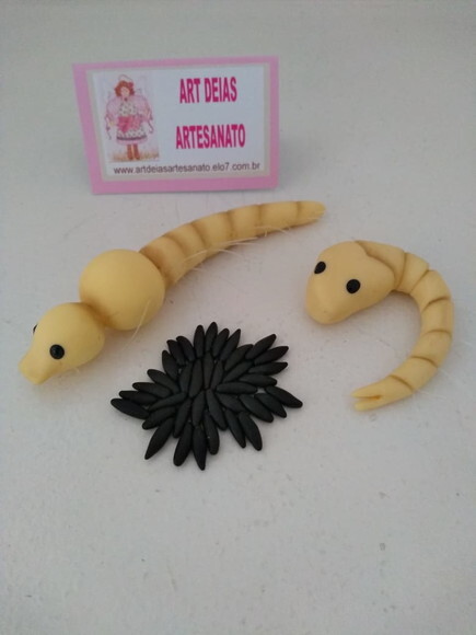 Fases do Mosquito da Dengue