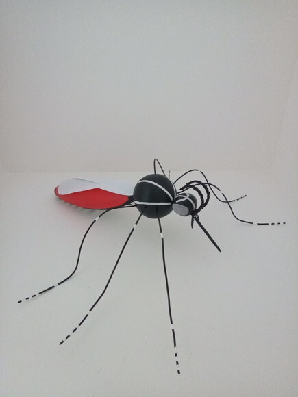 Mosquito da Dengue