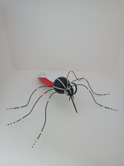 Mosquito da Dengue