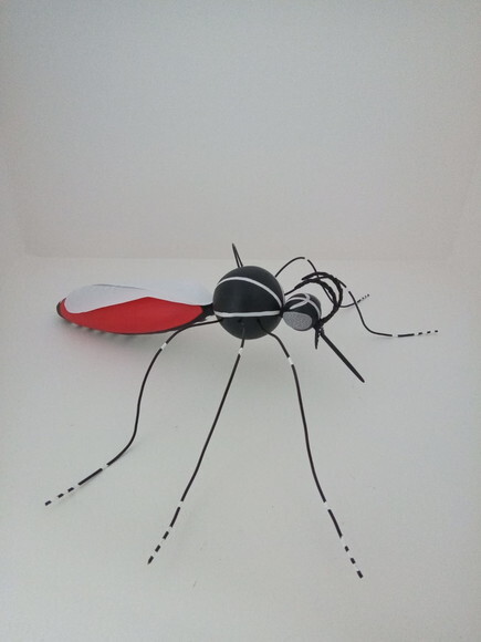 Mosquito da Dengue