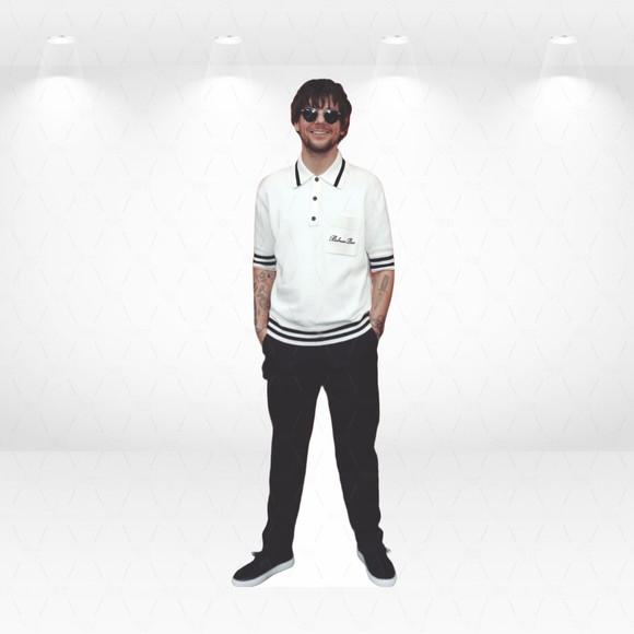 Display / Totem 1,7m Louis Tomlinson Desmontavel