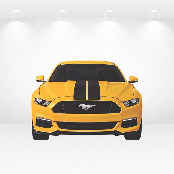 Kit Display / Totem de Chão Carro 58 x 80cm