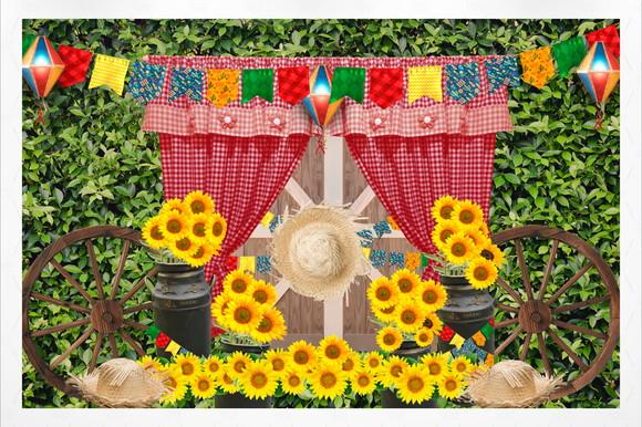 Painel Fotografico Festa Junina 4,5x3m
