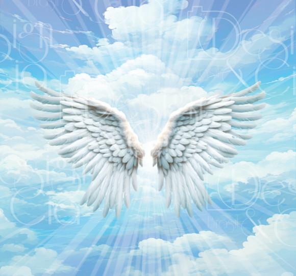 Painel Retangular Asas de Anjo 3m x 2,8m