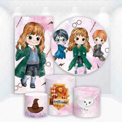 Conjunto Capas de Painel e Cilindros Hermione Harry Potter
