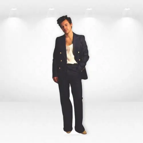 Display / Totem Desmontável 1,8m Harry Styles