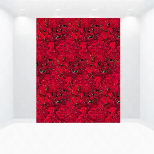 FUNDO FOTOGRAFICO ROSAS VERMELHAS
