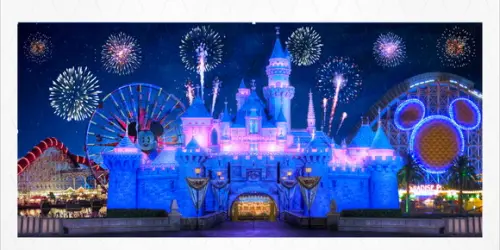 Painel Fotográfico Castelo Mickey 7,5x3m