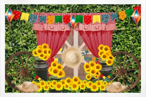 Painel Fotografico Festa Junina 4,5x3m