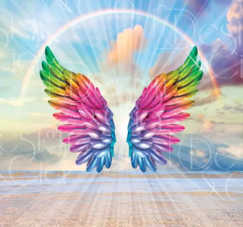 Painel Retangular Asas de Anjo 3m x 2,8m