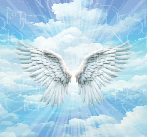 Painel Retangular Asas de Anjo 3m x 2,8m
