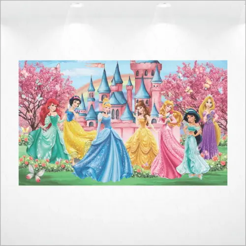 Painel Retangular Princesas 4 x 2,5m