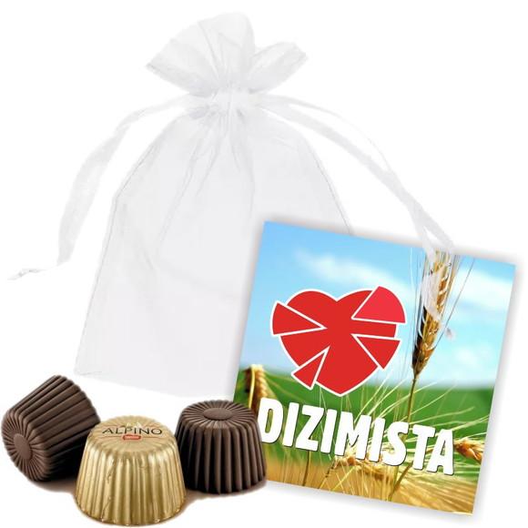 DIZIMISTA - SAQUINHO DE ORGANZA + MINI CARTÃO - MOD.01
