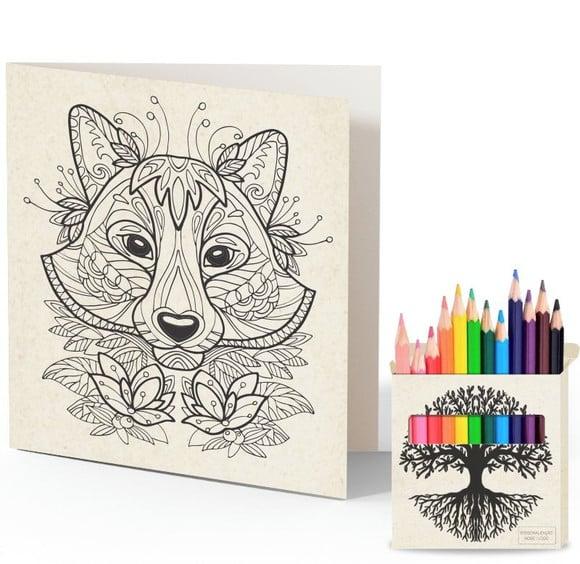 Cartão de Pintar + Lápis de Cor, Personalizados. Raízes.