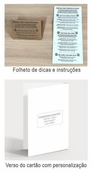 Cartão Personalizado + Cristal Turmalina Negra. Pct C/12kits