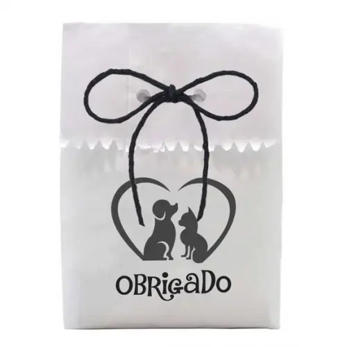 ANIVERSÁRIO - SAQUINHO PAPEL PERSONALIZADO. C/ FURO E CORDÃO