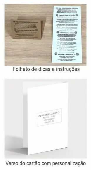 Cartão Person. Signo Gêmeos + Sodalita. Pct c/ 12 Kits.