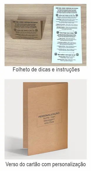 Cartão Personalizado + Cristal Quartzo Rosa. Pct c/ 12 Kits.