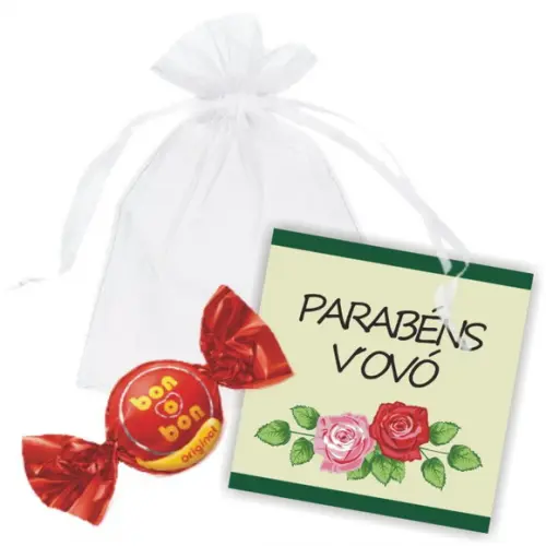 SAQUINHO DE ORGANZA + MINI CARTÃO - AVÓS