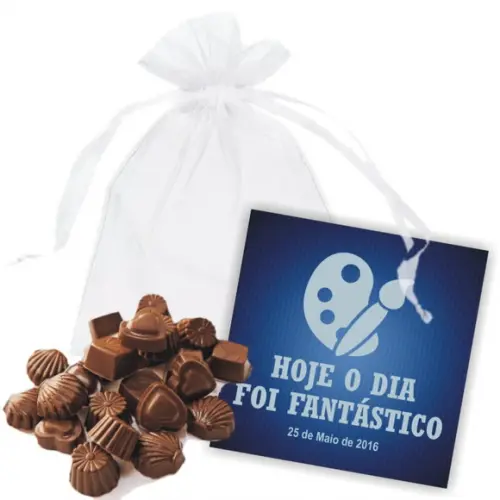 SAQUINHO DE ORGANZA + MINI CARTÃO - FANTÁSTICO