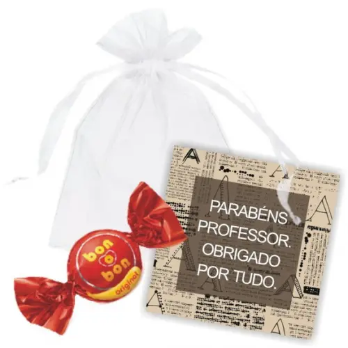 SAQUINHO DE ORGANZA + MINI CARTÃO - PROFESSOR