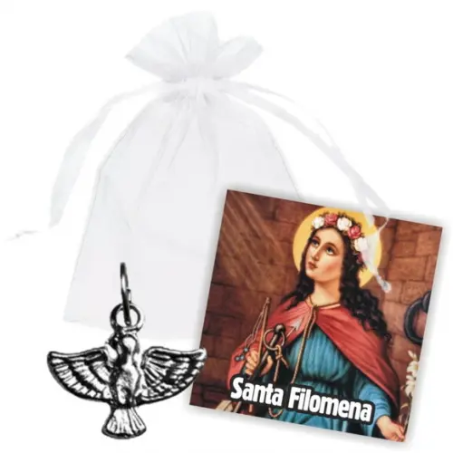 SAQUINHO DE ORGANZA + MINI CARTÃO - SANTA FILOMENA