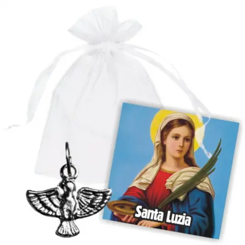 SAQUINHO DE ORGANZA + MINI CARTÃO - SANTA LUZIA