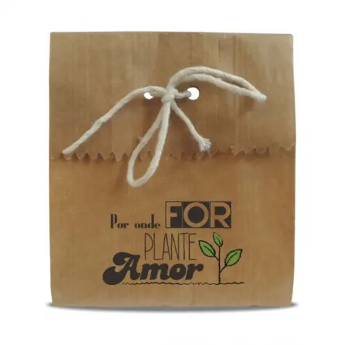 SAQUINHO PAPEL PERSONALIZADO - PLANTE AMOR