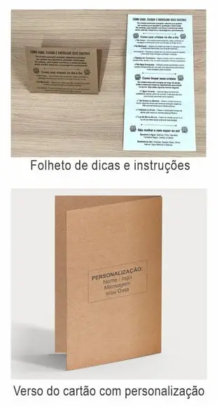 Cartão Personalizado + Cristal Dolomita. Pct c/ 12 Kits.