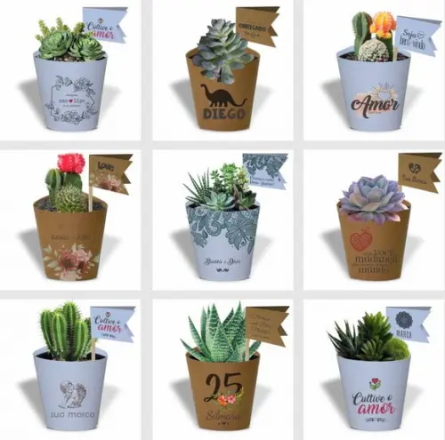 Rótulo mini suculenta + tag bandeira + palito. Casamento