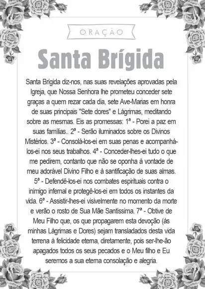 Santinho Santa Brígida. Pcte c/ 250 Unids