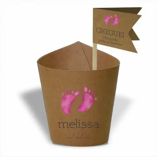 Rótulo mini suculenta + tag bandeirinha + palito. Infantil