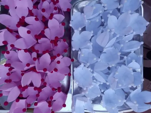 Forminha em Tecido Infantil 4 Pompons