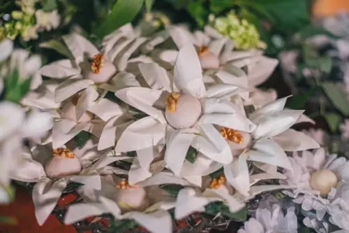 Forminha Tecido Lírio Bia