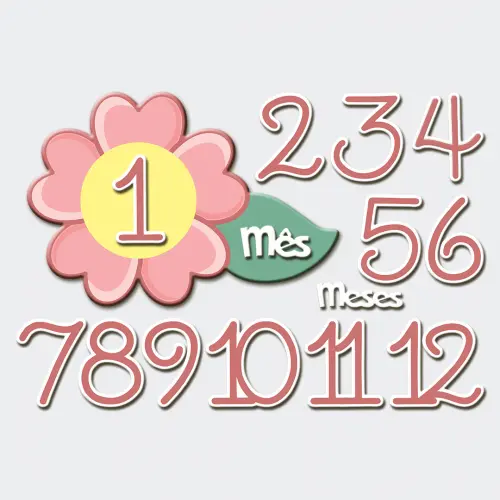 Mesversário Mdf - Florzinha