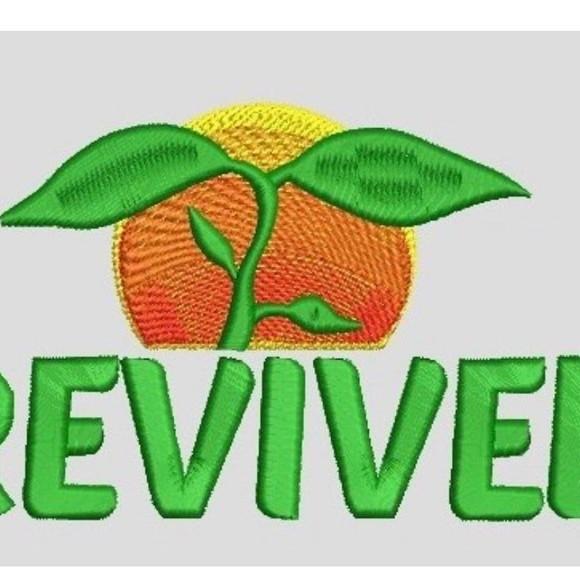 Matriz Bordado Instituto Reviver