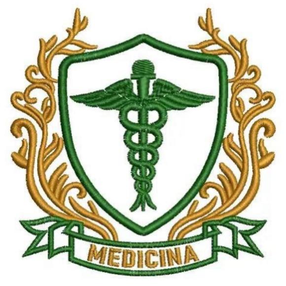 Matriz Bordado Medicina