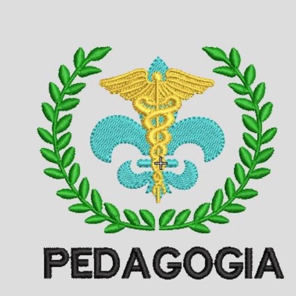 Matriz Bordado Pedagogia