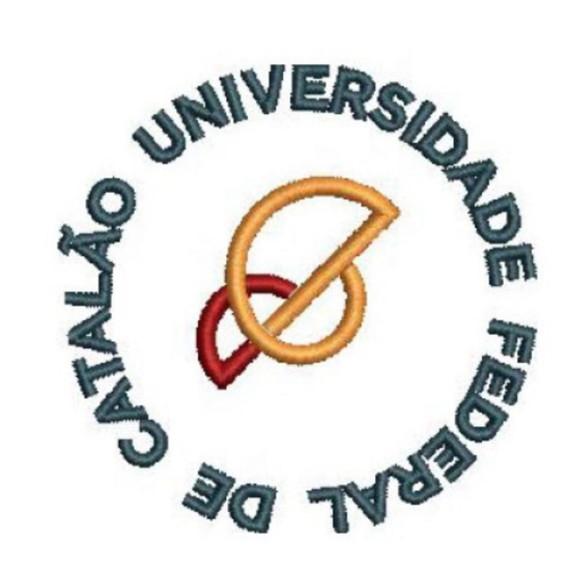 Matriz Bordado Universidade Federal de Catalão