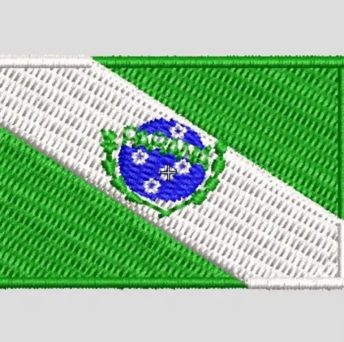 Matriz Bordado Bandeira do Paraná
