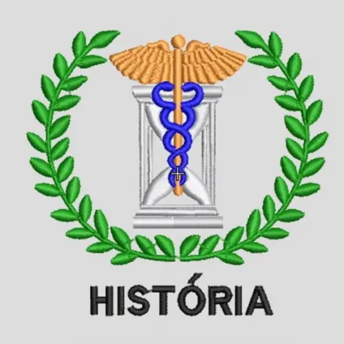 Matriz Bordado História