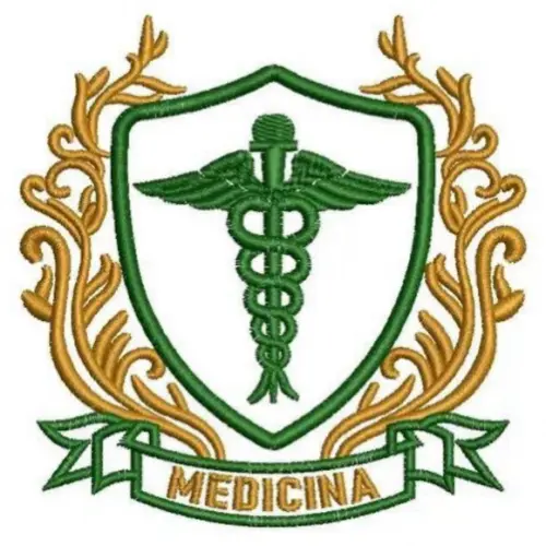 Matriz Bordado Medicina